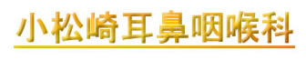千葉 耳鼻科 小松崎耳鼻咽喉科