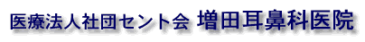 増田耳鼻科医院 東京都 小平市 耳鼻科 耳鼻咽喉科 花粉症 めまい アレルギー性鼻炎 いびき